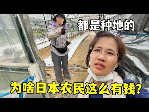 壬辰倭乱,终测开启,专家推荐质,世界杯预选赛,2026世界杯,预选赛赛程,球队分析,最新消息