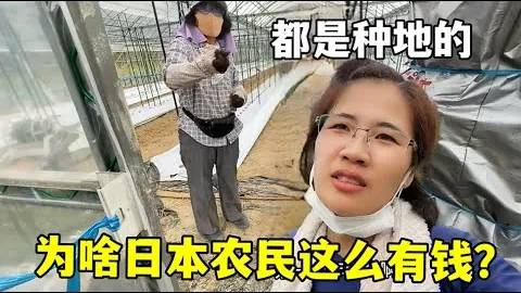 壬辰倭乱MMORPG终测开启：专家推荐质合分析